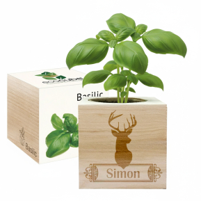 Ecocube mit Hirschgravur Ecocube mit Hirschgravur