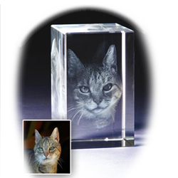 3D Portrait in Glas