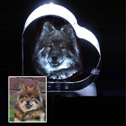 3D Portrait in Herz-Glas