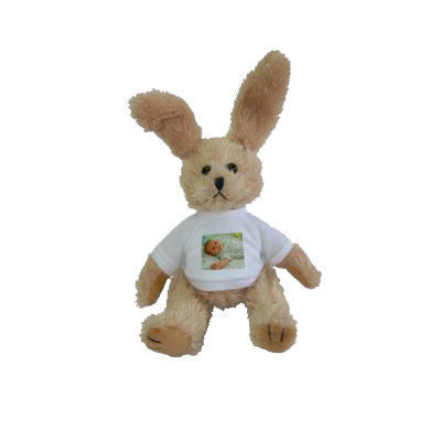 Pl�sch Hase Mit Foto