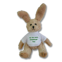 Pl�sch Hase
