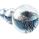 Ecosphere