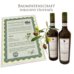 Olivenbaum Patenschaft