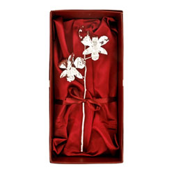 Silberne Orchidee