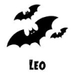 Fledermaus