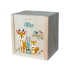 Bedruckte Box