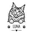 Maine Coon
