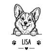 Corgi