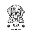 Labrador