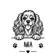 Cavalier King Charles