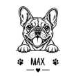 Franz&ouml;sische Bulldogge