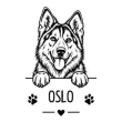 Husky