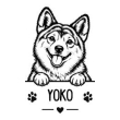 Shiba
