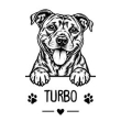 Staffie