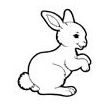 Hase