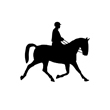 Reitsport