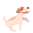 Hund1
