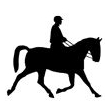 Reitsport