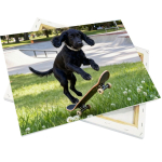 Leinwand auf Holzrahmen