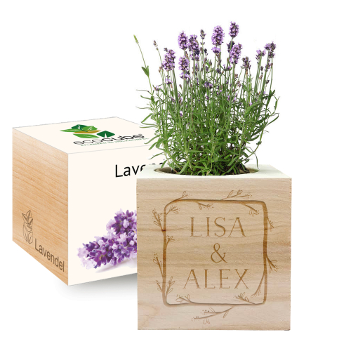 Ecocube Blumenrahmen Lavendel