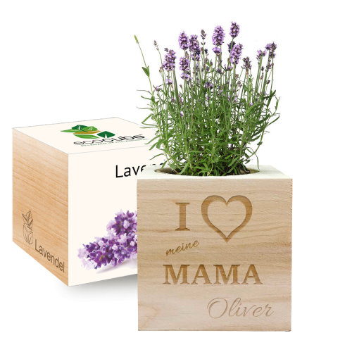 Ecocube Mama Lavendel