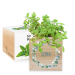 Bedruckter Ecocube Blumenrahmen