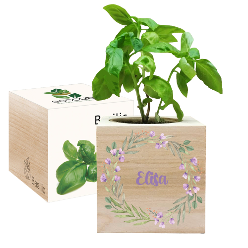 Bedruckter Ecocube Blumenrahmen