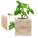 Bedruckter Ecocube Blumenrahmen