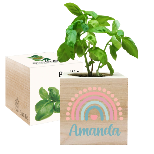 Bedruckter EcoCube Regenbogen