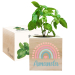 Bedruckter EcoCube Regenbogen