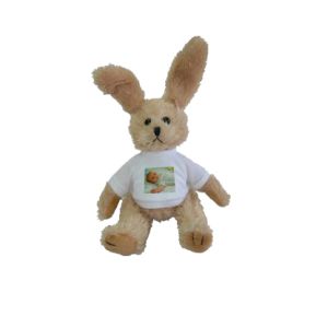 Plüsch Hase mit Foto Plüsch Hase mit Foto