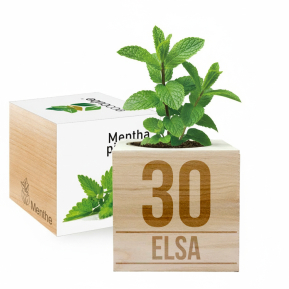 Ecocube Geburtstag