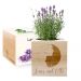 Ecocube mit Design Liebe Lavendel