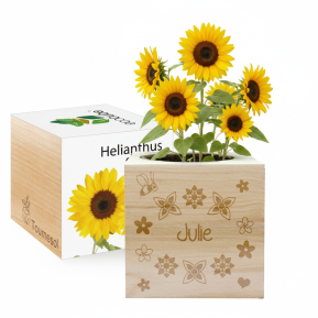 Ecocube Vorname