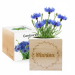 Ecocube Vorname