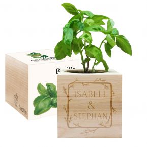 Ecocube Blumenrahmen 