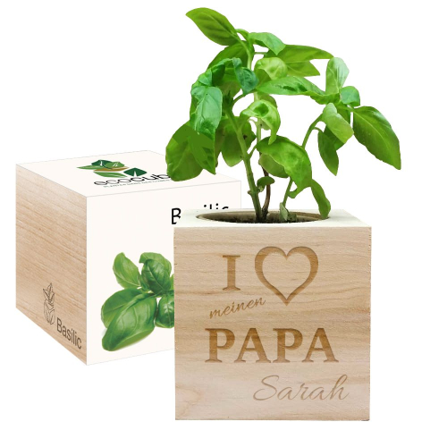 Ecocube Papa Basilikum