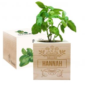 Ecocube Vorname