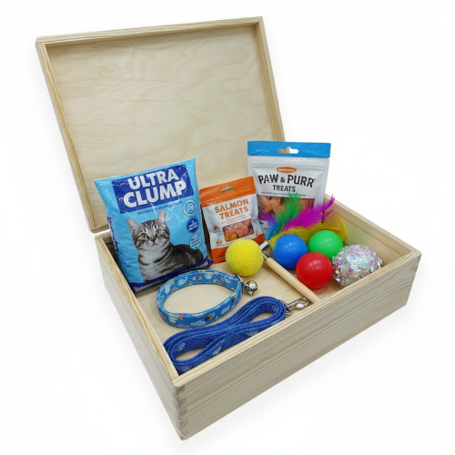 Gravierte Aufbewahrungsbox für Katzen Gravierte Aufbewahrungsbox für Katzen