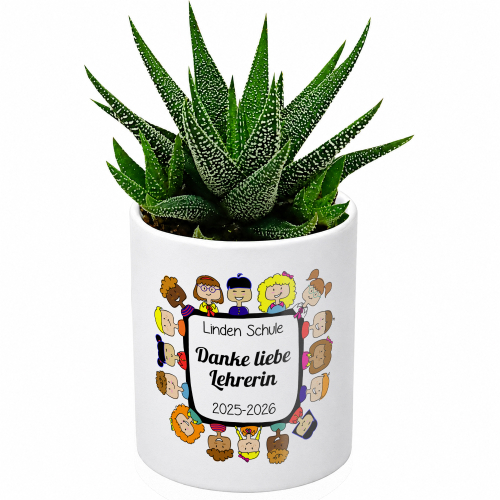 Haworthia Sukkulente für Lehrer(in) Haworthia Sukkulente für Lehrer(in)
