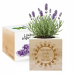 Ecocube mit Gravur Handkreis zum Schuljahresende