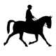 Reiten