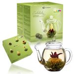 Teekanne + 6 Erblühtees (grüner Tee)