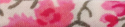 rouge et rose