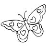 Schmetterling