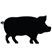 Schwein 1