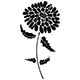 Blume 2