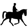 Reiten