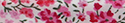 liberty Rose et blanc