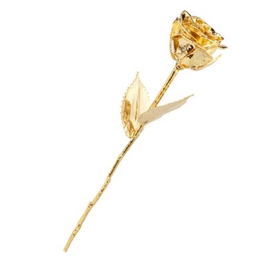 Echte Rose Vergoldet Mit 999er Gold – Personalisierbar Mit Wunschtext, 16 Cm, In Geschenkbox Mit Zertifikat
